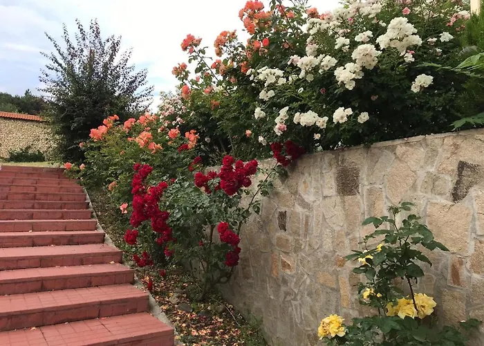 Vista Διαμέρισμα