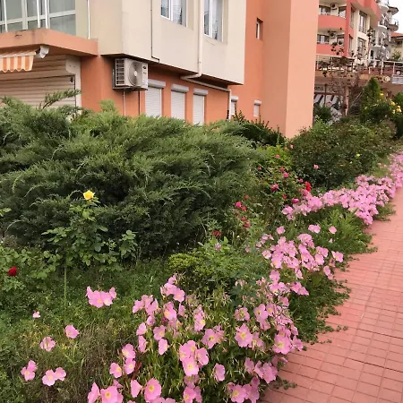 Vista * Sveti Vlas